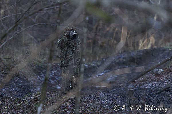 Fotograf przyrody w stroju maskującym, Bieszczady