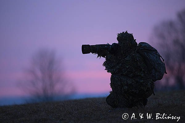 Fotograf przyrody