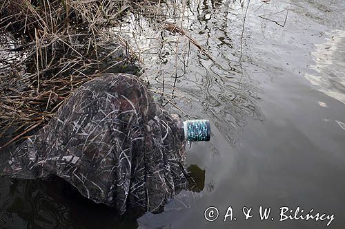 Fotograf przyrody, czatowanie, czatownia, płachta maskująca
