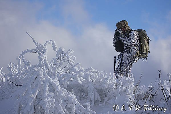 Zima, fotograf przyrody w stroju maskującym