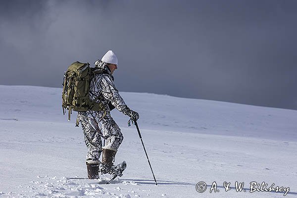 Zima, fotograf przyrody w stroju maskującym na rakietach śnieżnych
