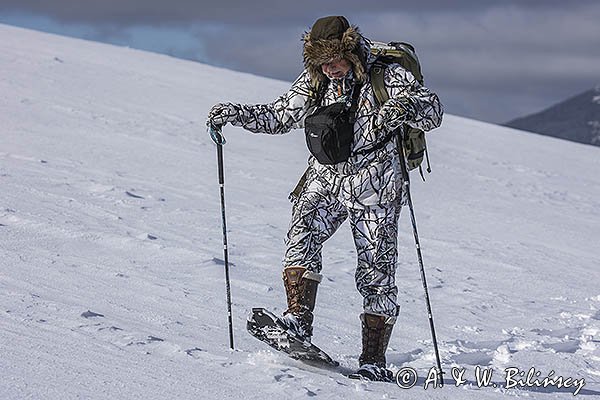 Zima, fotograf przyrody w stroju maskującym na rakietach śnieżnych