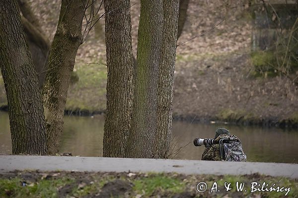 Fotograf przyrody, rzeka Jeziorka, Konstancin Jeziorna