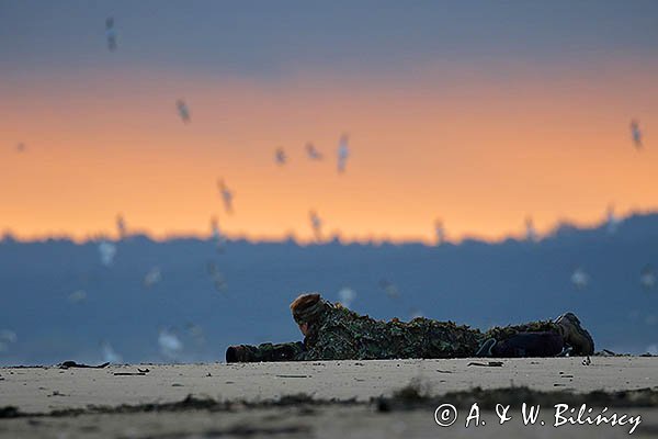 Fotograf przyrody, czatowanie, kamuflaż, strój maskujący