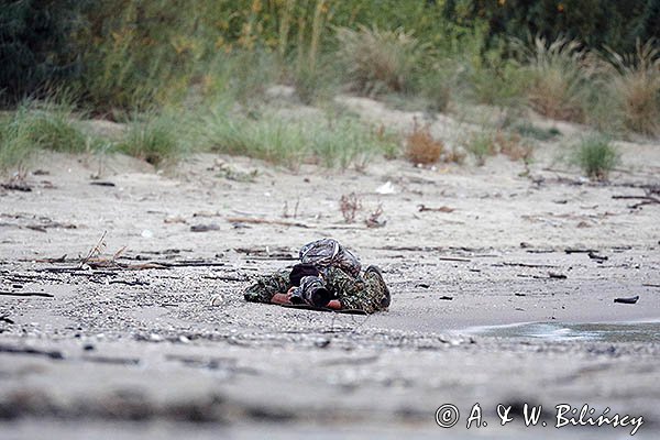 Fotograf przyrody, czatowanie, kamuflaż, strój maskujący