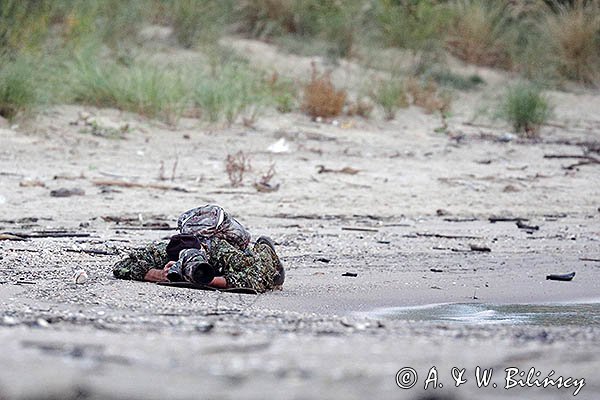 Fotograf przyrody, czatowanie, kamuflaż, strój maskujący