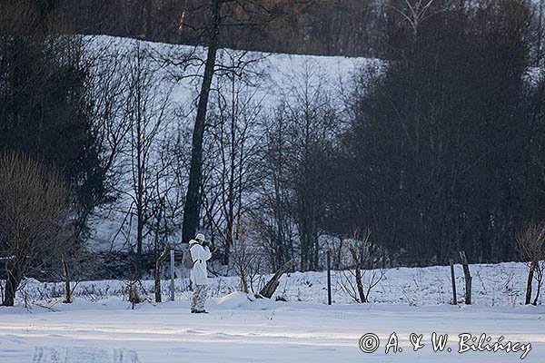 Fotograf przyrody w stroju maskującym, Bieszczady