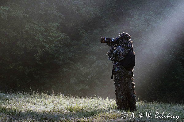W smudze Słońca, fotograf przyrody, czatowanie, kamuflaż, strój maskujący 3D