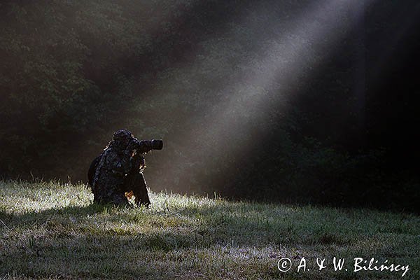 W smudze Słońca, fotograf przyrody, czatowanie, kamuflaż, strój maskujący 3D