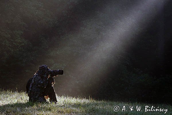 W smudze Słońca, fotograf przyrody, czatowanie, kamuflaż, strój maskujący 3D