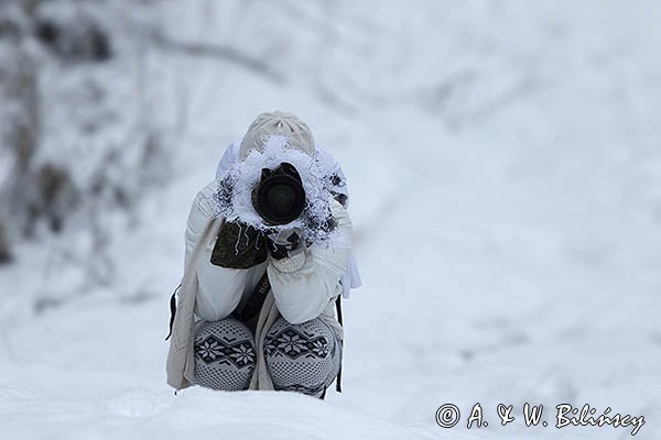 Zimowy strój maskujacy, fotograf przyrody