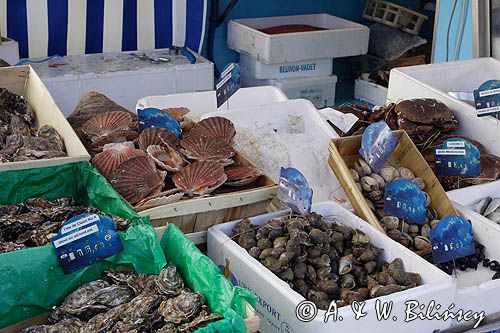 owoce morza na targu w Samoens, Alpy Francuskie, Rhone Alps, Górna Sabaudia, La Haute Savoie, Francja