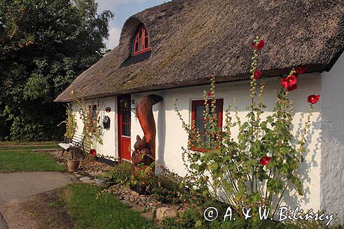 Stary dom na wyspie Fur, Limfjord, Dania. Old House on Fur island. fot A&W Bilińscy 