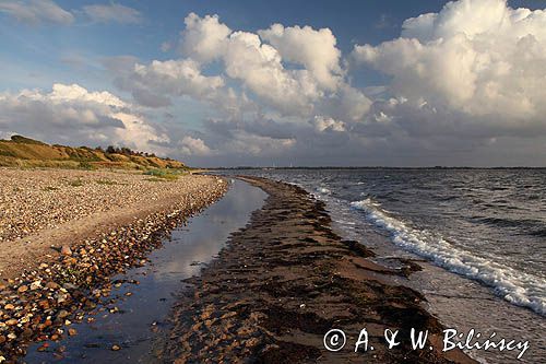 Wybrzeże i klify na wyspie Fur, Limfjord, Jutlandia, Dania