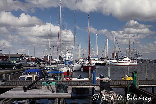 W porcie Fur havn, Stenore na wyspie Fur, Limfjord, Jutlandia, Dania