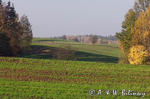 Garb Lubawski, Mazury