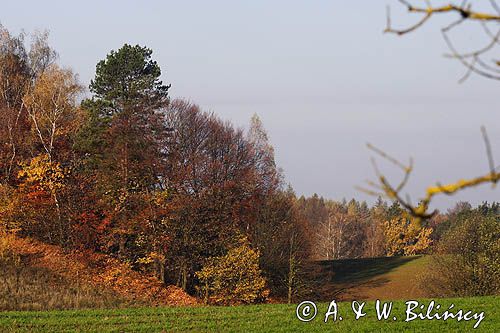 Garb Lubawski, Mazury