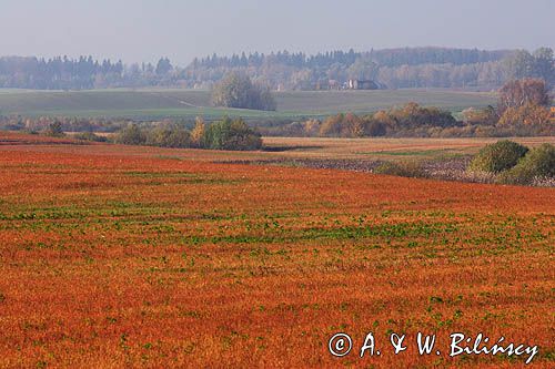 Garb Lubawski, Mazury