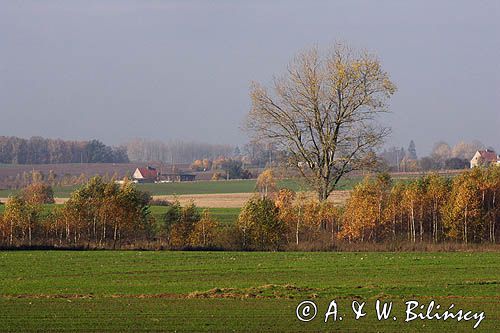 Garb Lubawski, Mazury