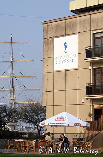 Gdynia Muzeum Morskie - Akwarium