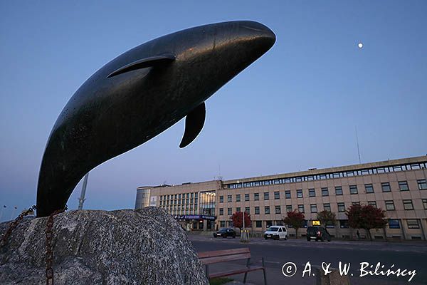 Gdynia, morświn przed Akwarium morskim