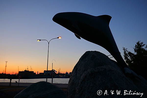 Gdynia, morświn przed Akwarium morskim