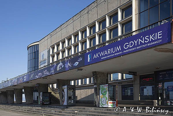 Gdynia, Akwarium morskie