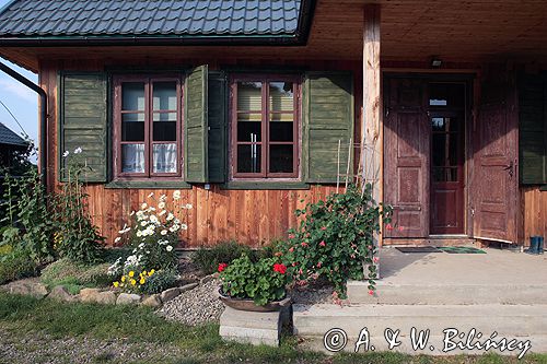 dom na Pogórzu Dynowskim, pelargonie, wiciokrzew, jastrun wielki
