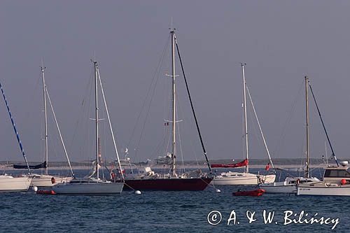 s/y Safran, Trismus 37, na boi przy wyspie Ille Saint Nicolas, Illes Glenan, Archipelag Glenan, Zatoka Biskajska, Bretania, Francja,