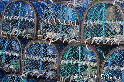 pułapki na kraby na wyspie Ille Saint Nicolas, Illes Glenan, Archipelag Glenan, Zatoka Biskajska, Bretania, Francja,