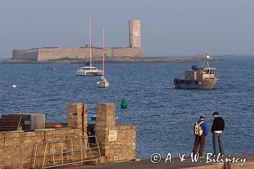 na wyspie Ille Saint Nicolas, Illes Glenan, Archipelag Glenan, Zatoka Biskajska, Bretania, Francja,