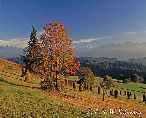 Podhale i Tatry widok z Gliczarowa