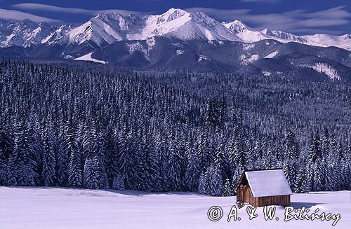 Tatry panorama z Głodówki