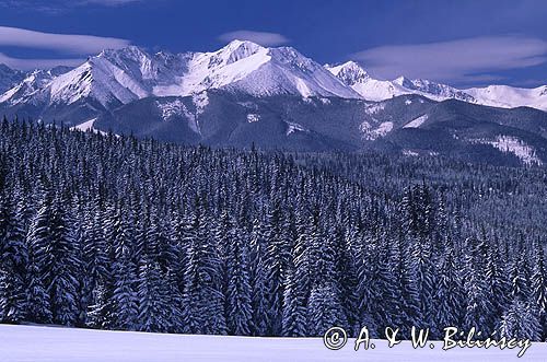 Tatry panorama z Głodówki