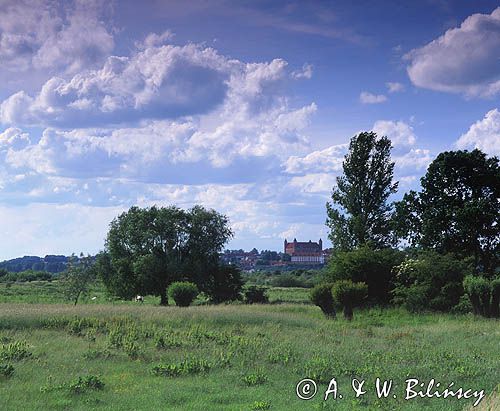 Gniew panorama - zamek