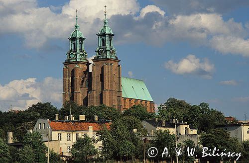 Gniezno katedra
