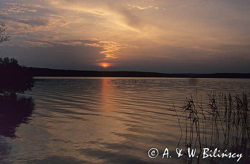 Jezioro Gołdapiwo