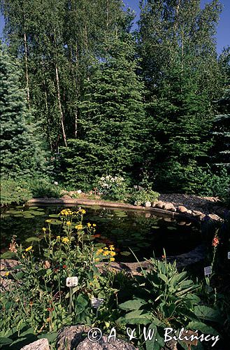 Gołubieński Ogród Botaniczny Kaszubski Park Krajobrazowy