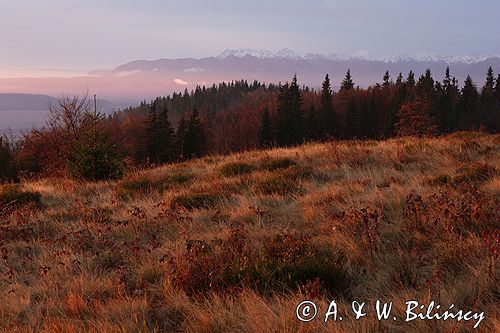 Gorce wschód słońca na Polanie Zielenica, widok na Tatry