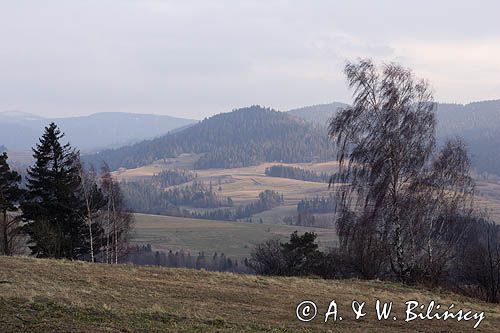 Gorce, okolice Rabki