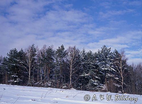 Bieszczady, Góry Słonne