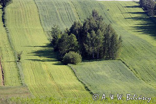 Góry Świętokrzyskie, kielecczyzna