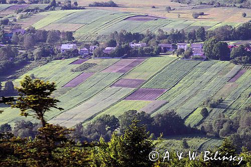 panorama z Łysej Góry, Łysogóry, Góry Świętokrzyskie, kielecczyzna