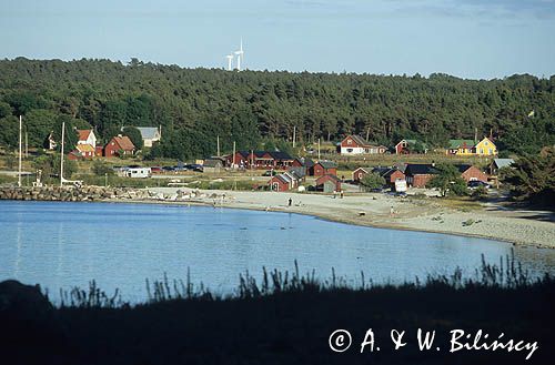 Szwecja, zachodnie wybrzeże wyspy Gotland, Lickershamn, plaża
