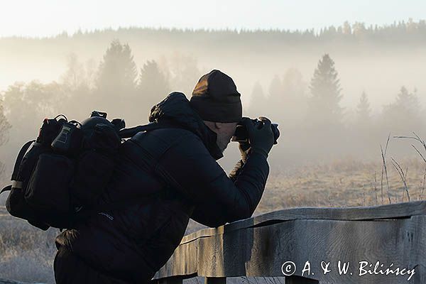 Fotograf przyrody, Bieszczady, rezerwat przyrody Torfowisko Tarnawa