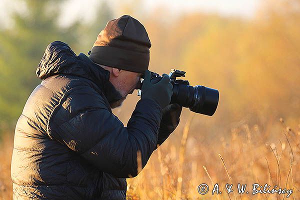 Fotograf przyrody, Bieszczady, rezerwat przyrody Torfowisko Tarnawa