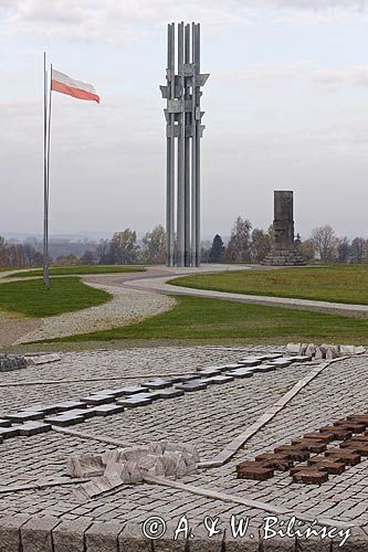 Grunwald, pole bitwy, pomnik, Mazury