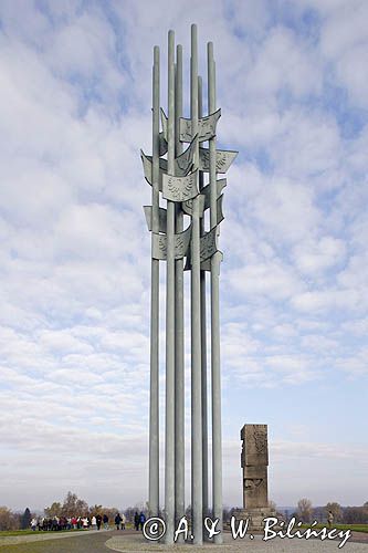 Grunwald, pole bitwy, pomnik, Mazury