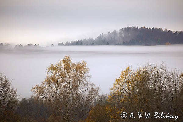 Mgły nad jesiennym lasem, Bieszczady