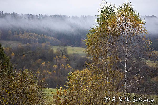 Mgły nad jesiennym lasem, Bieszczady